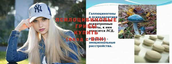 соль ск Абаза