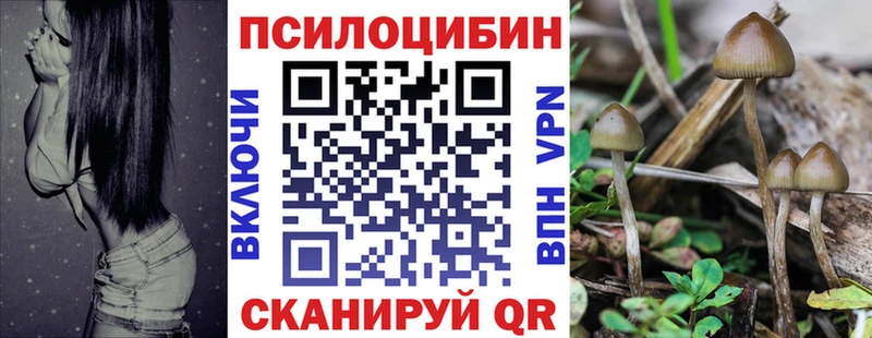Псилоцибиновые грибы Magic Shrooms  Костерёво 